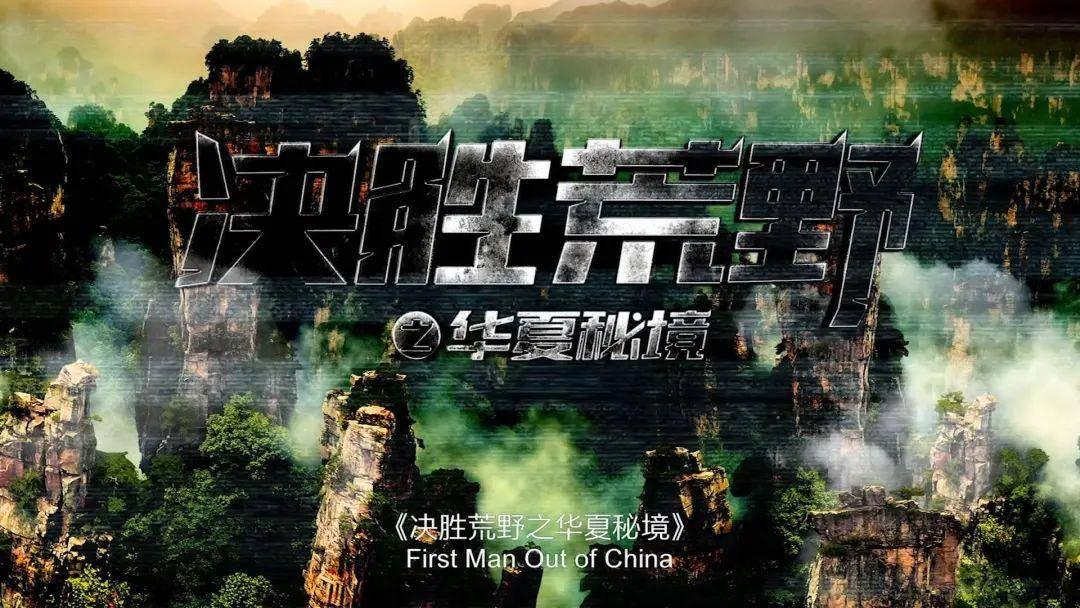 动物狂欢夜